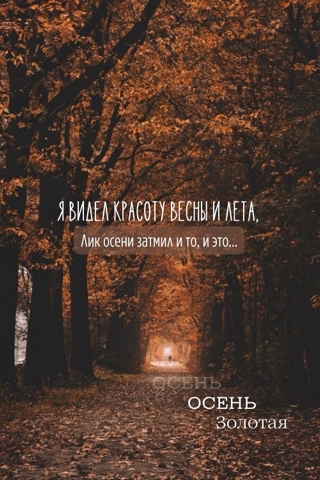 cvetylen в LOOKY. #деньзнаний. #деньзнаний