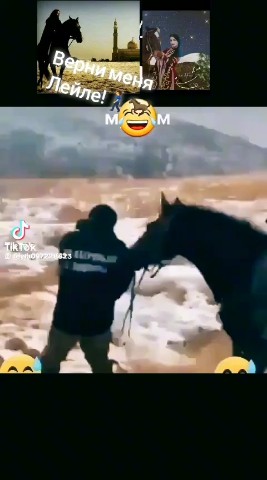 Looky_176124951165503 в LOOKY. . 