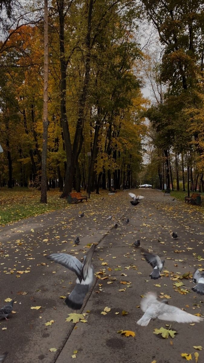 Сулейманова