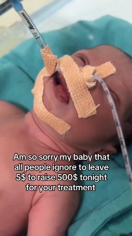 Soft Bunny в LOOKY — Hi guys it's too bad to tell you this for real Dany is going