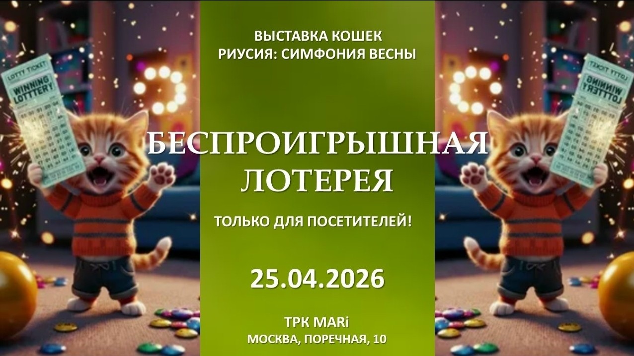 RIUS in LOOKY. #выставкакошек,#выставкариус,#досугссемьей. Уважаемые посетители...