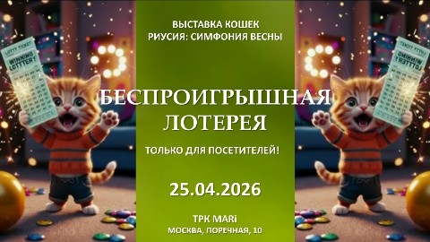 Looky_175425359271006 в LOOKY. #новостириус,#выставкакошек,#выставкариус,#досугссемьей. Уважаемые посетители...