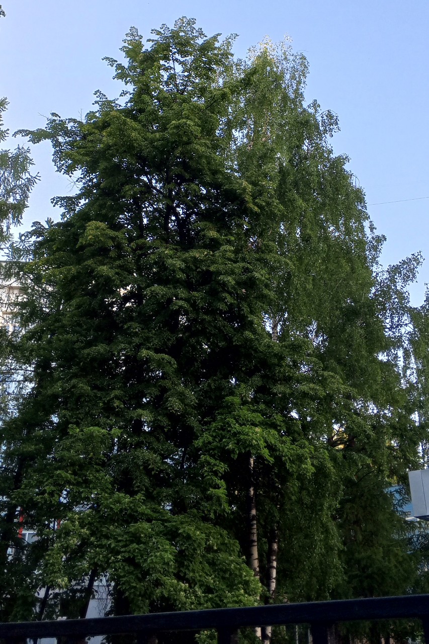 Olguita в LOOKY — публикация