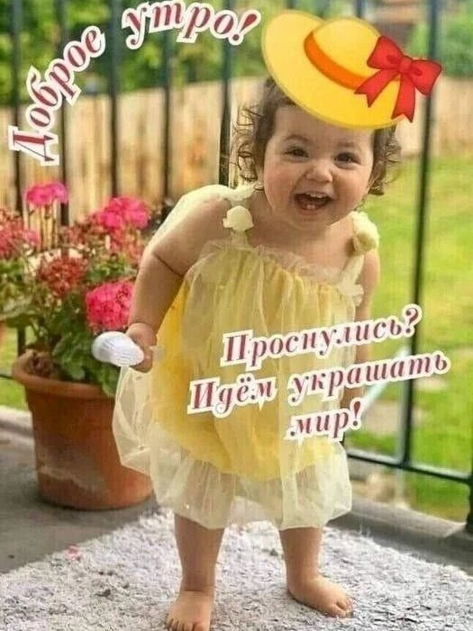 Сириус в LOOKY — публикация