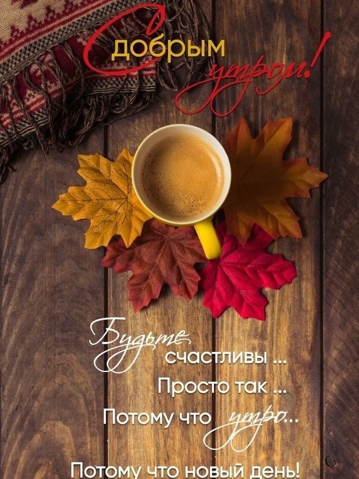 Looky_172862340228380 в LOOKY — публикация