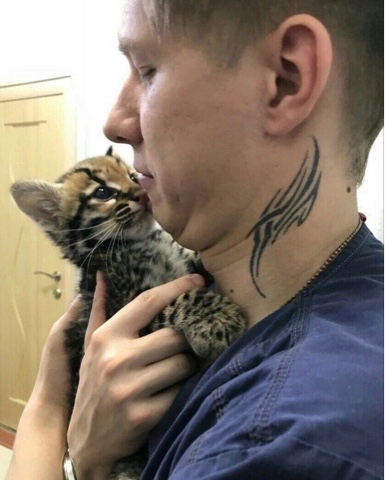 Альянс Ступино в LOOKY. . Панлейкопения, она ж...