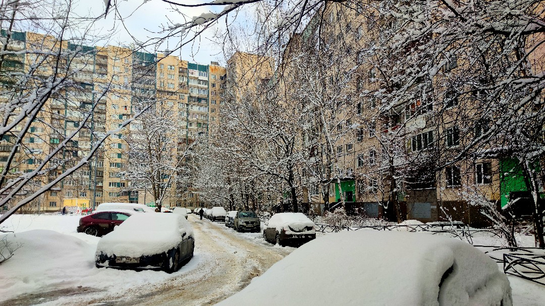 buser.spb.ru в LOOKY — Зима прям...