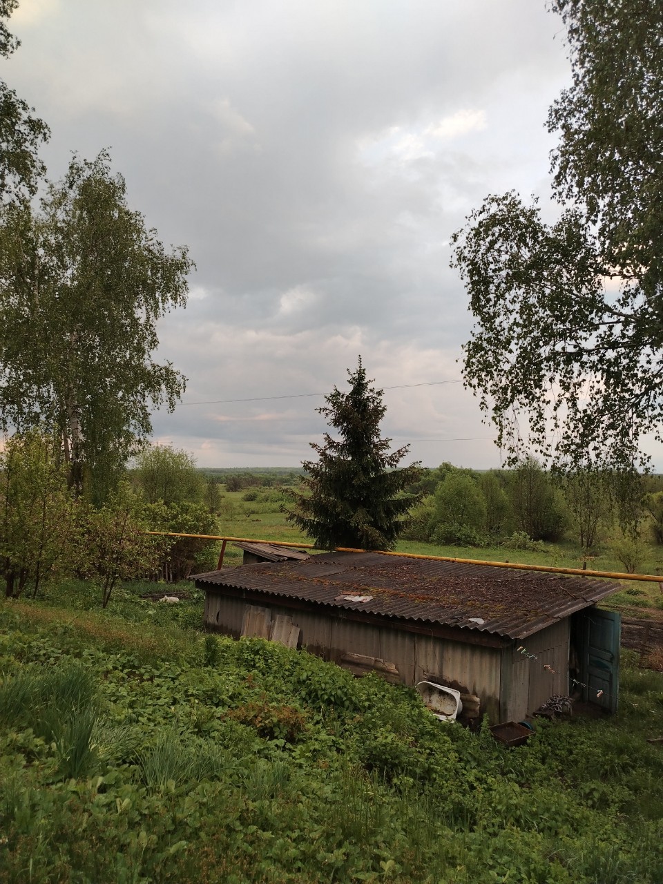 Вика Наумова в LOOKY — фото 4