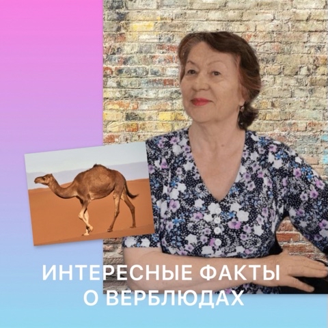 larissa_ginkul в LOOKY. . Когда речь заходит о...
