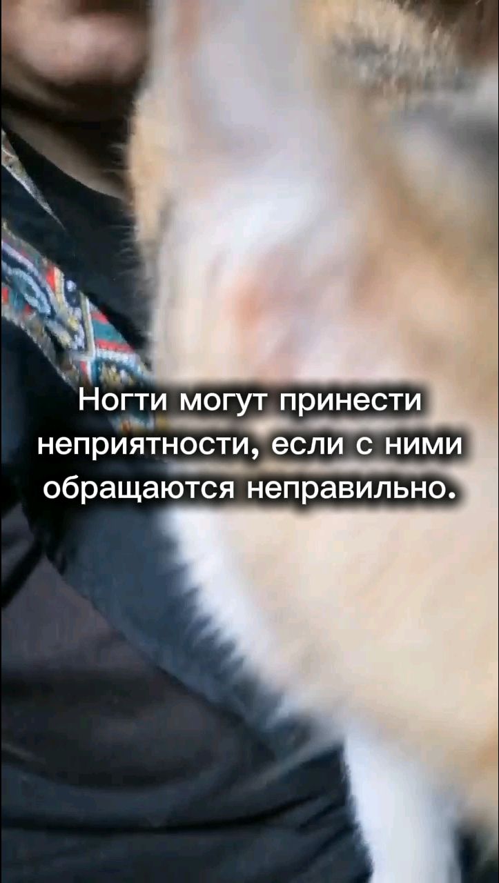 Кальянова Ольга in LOOKY. #большоеболдино,#маникюрбольшоеболдино,#курсыманикюра,#курсыманикюраснуля. Слушайте, давайте ра...