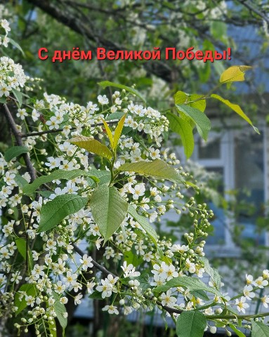 Verymur в LOOKY. #9мая. Дай Бог мирного неба...