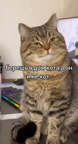 Tatiana Ubushaeva в LOOKY — публикация