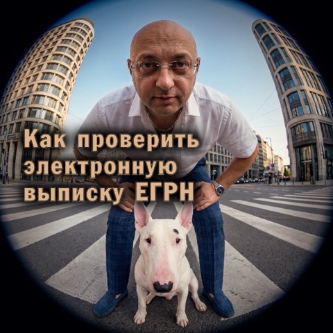 andrey.shamaeff.rieltor в LOOKY. #НовостройкиБезГраниц_польза,#полезнаяинформация,#недвижимость. ⚠️ Как проверить эле...