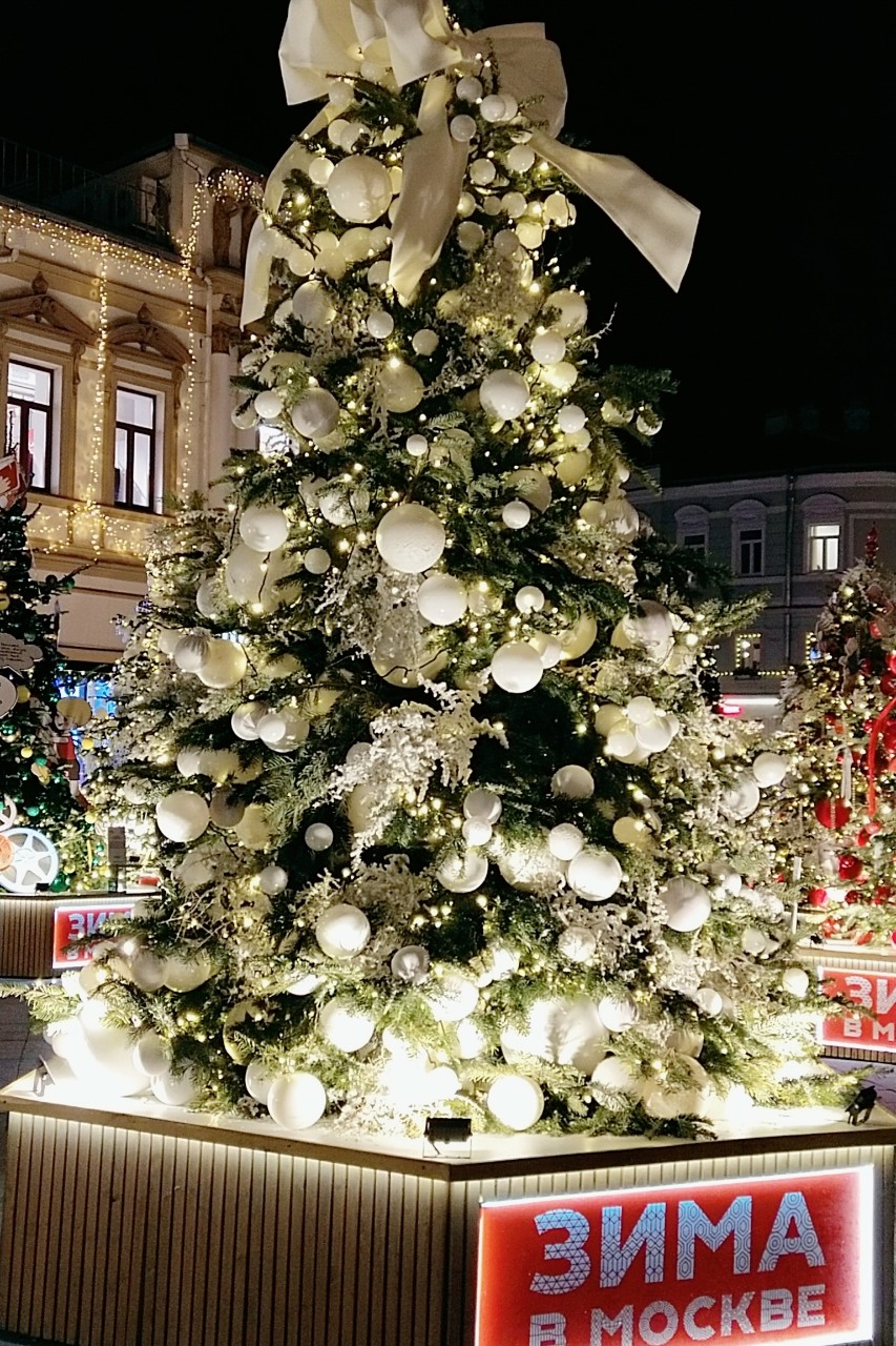 Со Старым Новым Годом!🎄☃️❄️
И всё равно мы дети
Нам так страшно 
На ёлку опоздать из-за метели,
Из-за трамвая,или гололёда,
На этот праздник детский опоздать,
Мы женимся,разводимся, простите,
Но всё равно мы дети - мы на ёлку.
И мы летим за праздничной добавкой.
Добавьте нам хоть Старый Новый год!
Он старый, старый, он уже совсем не новый,
На нём уже пылали эти свечи,
На них уже сверкали эти слёзы,
Однажды утром эти гости разошлись.
Но мы опять летим на это пламя,
Но в тайне мы надеемся на чувство.
На эту самую желанную добавку,
Добавьте нам хоть Старый Новый год!
Он старый, старый, он совсем не уже новый,
На нём уже звенели эти струны,
И этот снег , и этот воск, и эти чувства.
Однажды утром этот воск окаменел.
Но всё равно мы дети, мы на ёлку.
И мы летим за этой призрачной добавкой,
За невозвратным и неповторимым.
Добавьте нам хоть Старый Новый год!
Он старый, старый, он совсем уже не новый,
На нём уже слыхали эти песни.
На нём уже слыхали эти песни.
На нём уже пылали эти клятвы.
Однажды утром - только перед золотой.
Но мы готовы умереть за этот пепел,
За этот праздник нежности и грусти.
И мы летим за этой призрачной добавкой,
Добавьте нам хоть Старый Новый год.....
        "Старый Новый год".
               Юнна Мориц. 1980год.