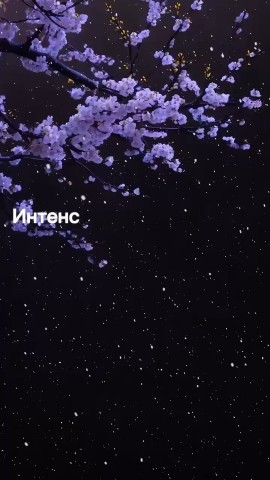 Алёна Чжан в LOOKY. . Друзья, продолжаем н...
