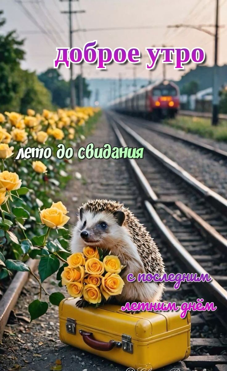 Таня Чаженская