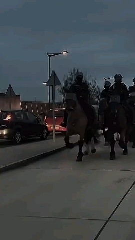 Сеня в LOOKY. #horses. Вот их бы нам.
╰┄  ⊹...