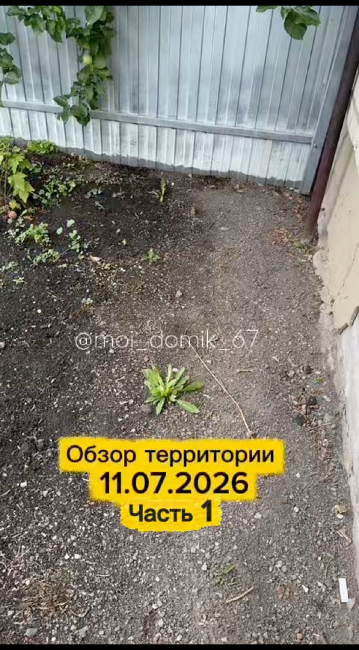  в LOOKY — Обзор территории 11.07.2026 #дом #дача #обзор #уборкатеррито