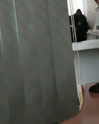 superior_lihodej в LOOKY. . Будительница