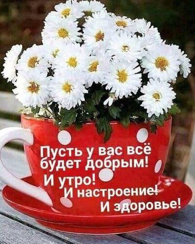 Елена в LOOKY — фото 2