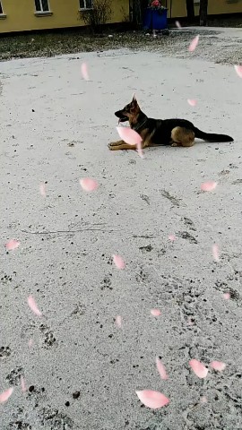 Алёнка in LOOKY. . Герда