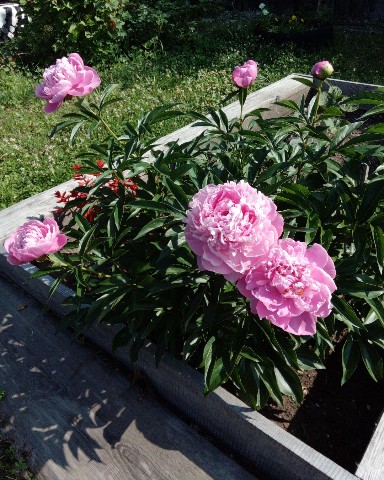 Looky_1706678485939 в LOOKY. . Мои любимчики