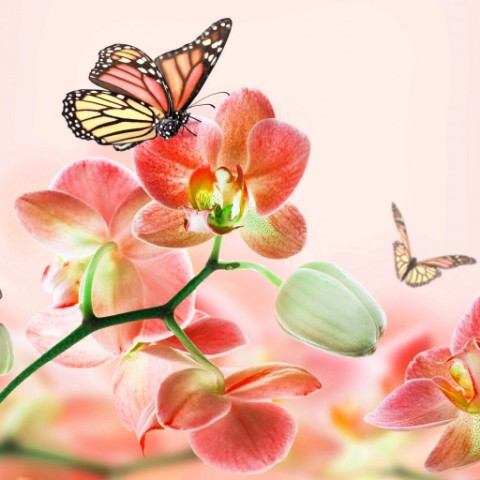 Looky_1717236271242 в LOOKY. . Всем огромное спасиб...