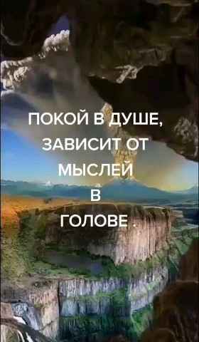 ВОЛК СЕРЫЙ в LOOKY — публикация