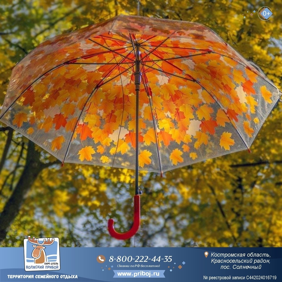 🍂 Навстречу мягкому осеннему ветру 🍃
Осень — время для настоящего волшебства. Представьте себе уютные тёплые вечера у берега реки, весёлые посиделки у костра с ароматными блинами и горячим чаем, величественную и спокойную природу вокруг вас 🌾

✨ Эта сказочная атмосфера гораздо ближе, чем кажется! У нас всегда тепло и комфортно, словно дома ❤

🔥 До конца октября мы предлагаем специальную скидку -35%! Отличный повод оставить городскую суету позади и насладиться отдыхом в парк-отеле «Волжский прибой».
Забронируйте номер прямо сейчас и окунитесь в атмосферу настоящей осени вместе с нами! ✨🍁

🌐Забронировать свой отдых https://priboj.ru
📞 8-800-222-44-35 (Звонки по РФ бесплатно)
Чат с администраторами – vk.me/priboj44