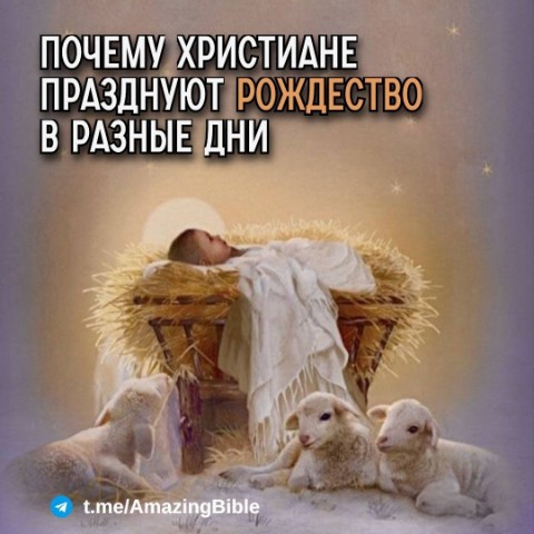 angelika444 в LOOKY. #знаетеливы. ⬜️ Рождество праздну...