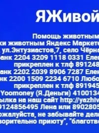Лена Козлова в LOOKY — фото 2
