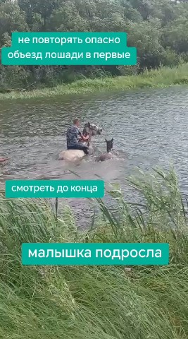 Лика в LOOKY. . А вы любите лошадей