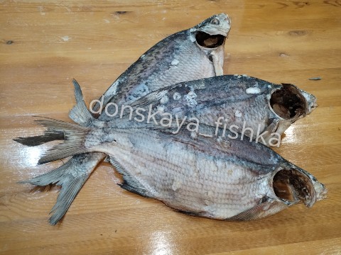 donskaya_fishka в LOOKY. #спб,#лещвяленый,#санктпетербург,#78регион,#178регион,#61регион,#вяленаярыба,#98регион,#вяленыйлещ,#ростовнадону. 🌍РЫБКА ОТПРАВЛЕНА В...