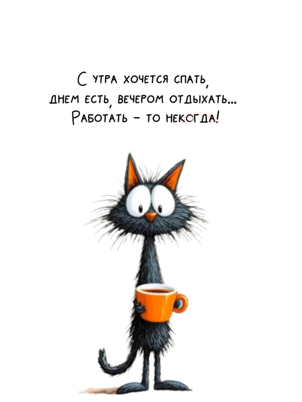 SunSun в LOOKY — публикация