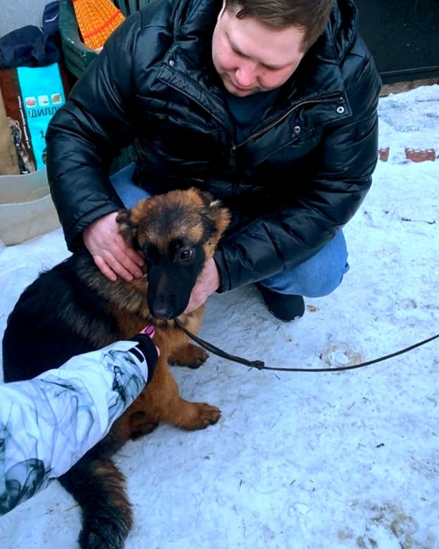 Здравствуйте 👋
Меня зовут Меркурий, но все вокруг называют меня Мэр.(звучит круто😎) Мне уже целых 1 год и 8 месяцев. 
Говорят уже большой ☺️
Я парень хороший, но могу и пошалить🤫(было пару раз, как нибудь расскажу😁) Вы наверное спросите зачем нужна данная страница?
Отвечу вам так: Я хочу делиться с миром своей счастливой жизнью и дарить хорошее настроение , по крайней мере буду очень стараться 🤩
Так что заходите в гости!
Добро пожаловать,  Мир!!!

P.S. Это наше знакомство,  мне тут 5 месяцев 😊

#овчарка#овчаркавсердце#мырядом#немецкаяовчарка#любовь#счастье