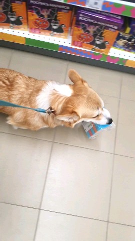 Ната Ли в LOOKY. . Всю зиму мв ходим в ...