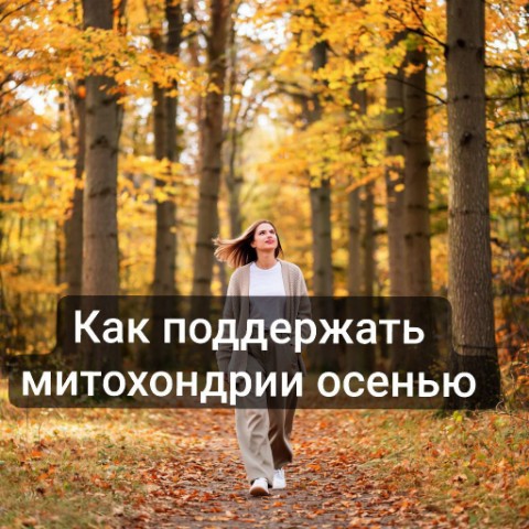 recommendyou_ru в LOOKY. . 🌿 Как поддержать ми...