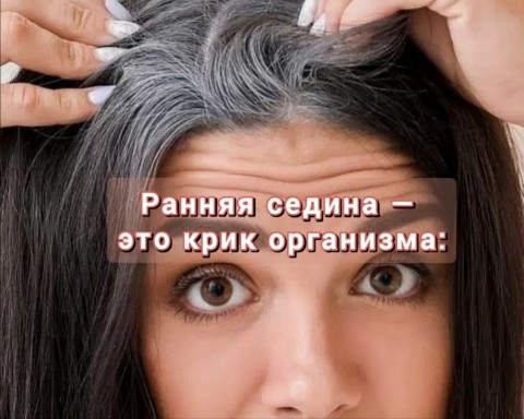 Looky_172371964456307 в LOOKY. #ранняя_седина,#сибирское_здоровье,#профилактика_болезни. Ранняя седина — это ...