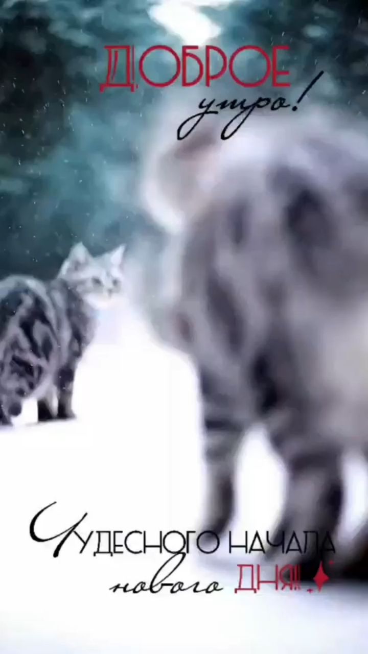 Анастасия in LOOKY. . 