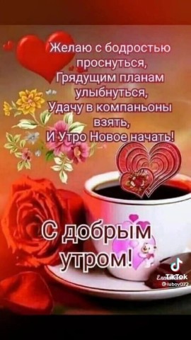 makslm в LOOKY. #Исходное_фото,#LOOKY_нейронка. #Исходное_фото #LOOK...
