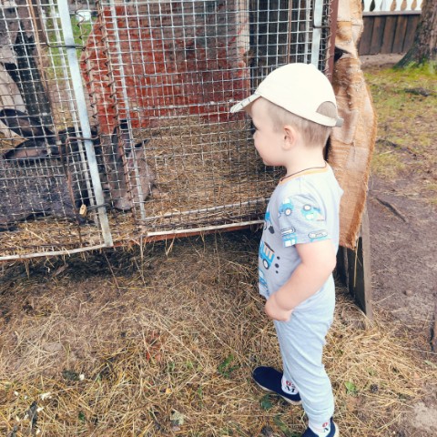 Little_bu в LOOKY. . Сын лошадей не оцени...