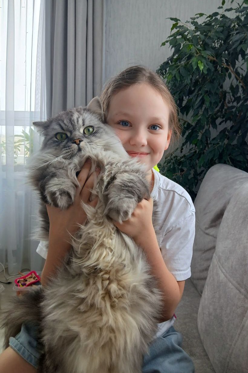 darenka_little в LOOKY. #питомцы,#коты,#кошки. #питомцы #коты #кошк...