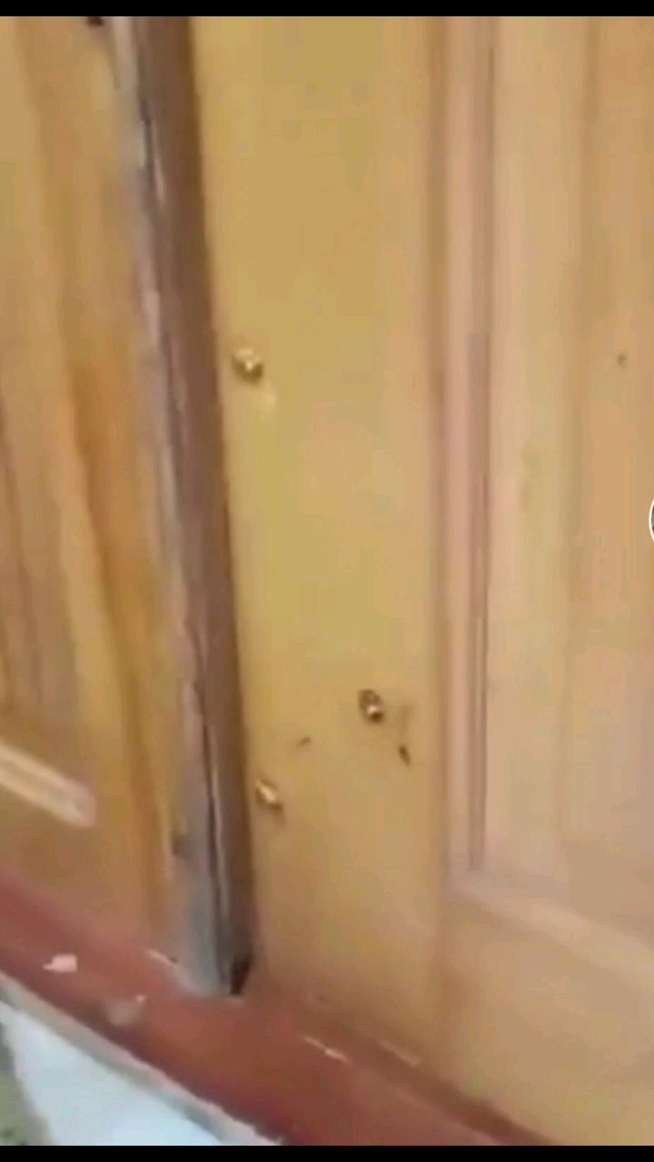 Fkbatrud в LOOKY. . 