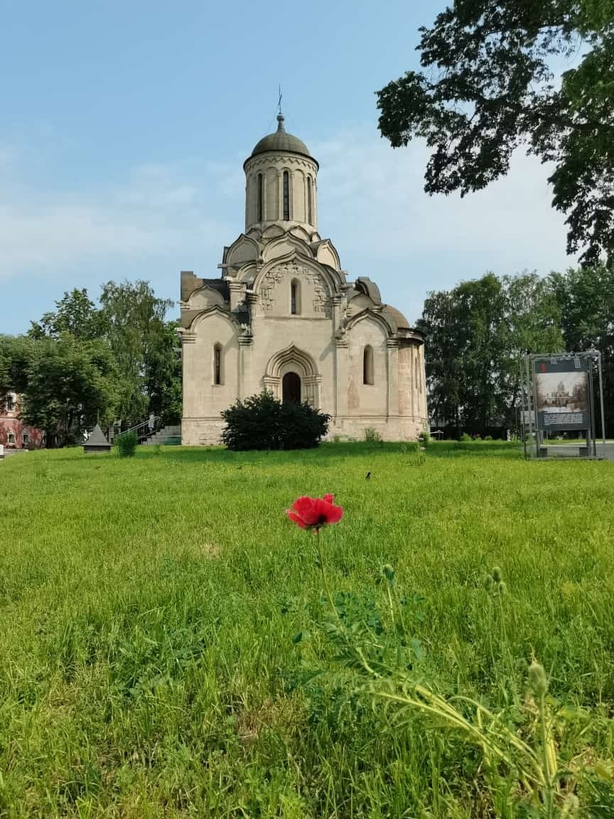 В Музее имени Андрея Рублева зацвели маки! 

Приходите любоваться!