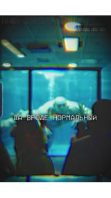 Its Probably Fine в LOOKY. . Экзотический Морж. |...