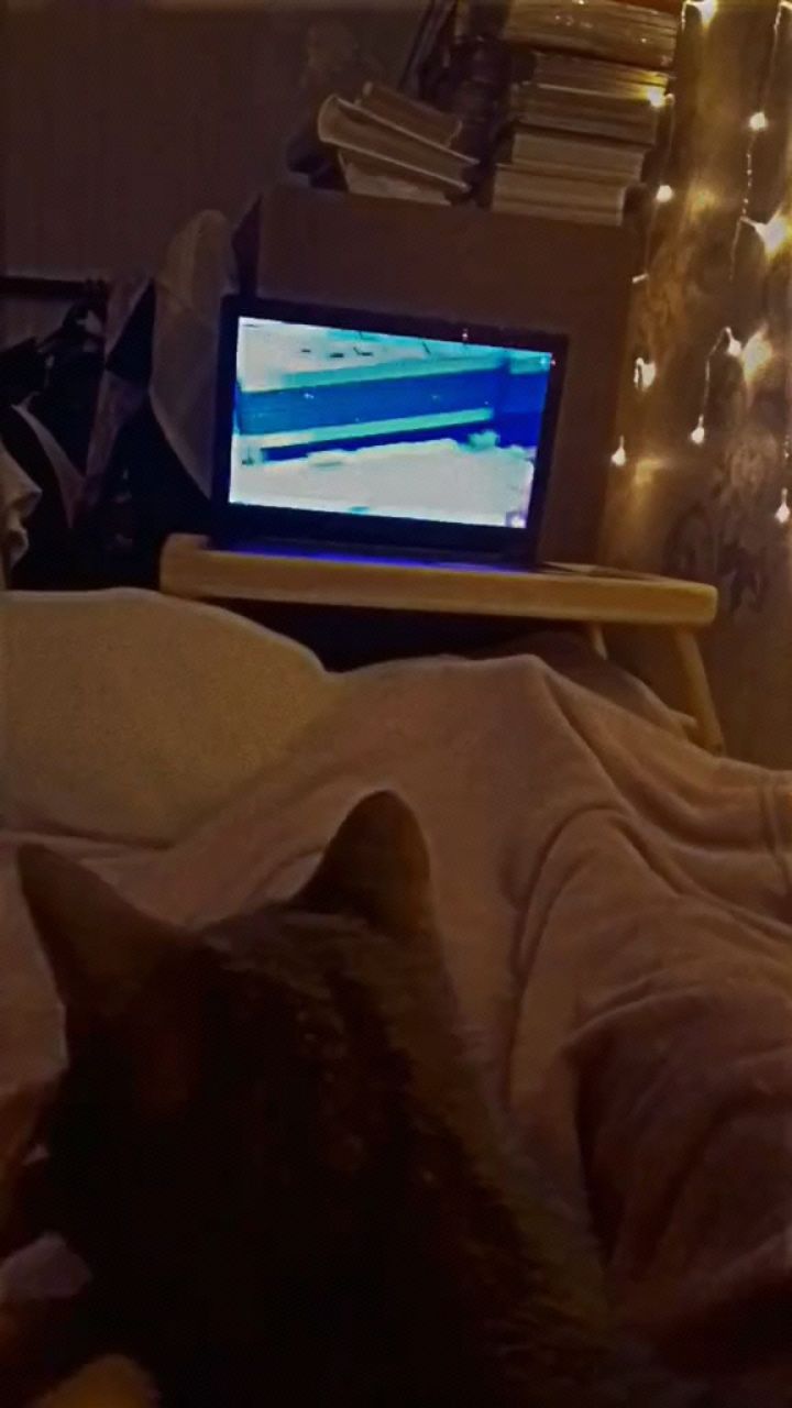 Ксинонис в LOOKY. #отдыхаем,#уют. Смотрим Эда #отдыхае...