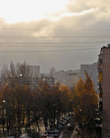 Nekoill в LOOKY. . Когда единственный р...