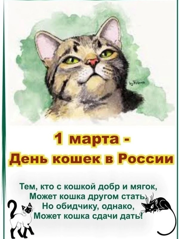 Анжела в LOOKY — публикация