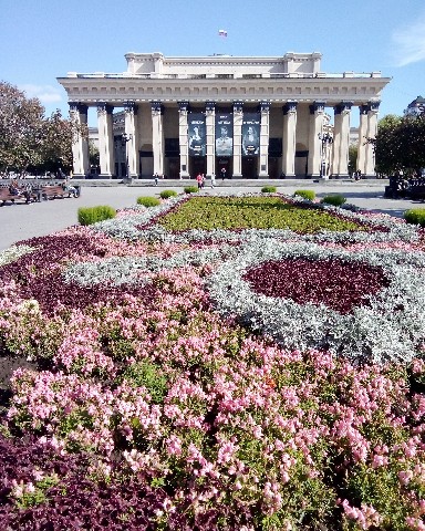 Snowflake в LOOKY. . [#Новосибирск](Новос...
