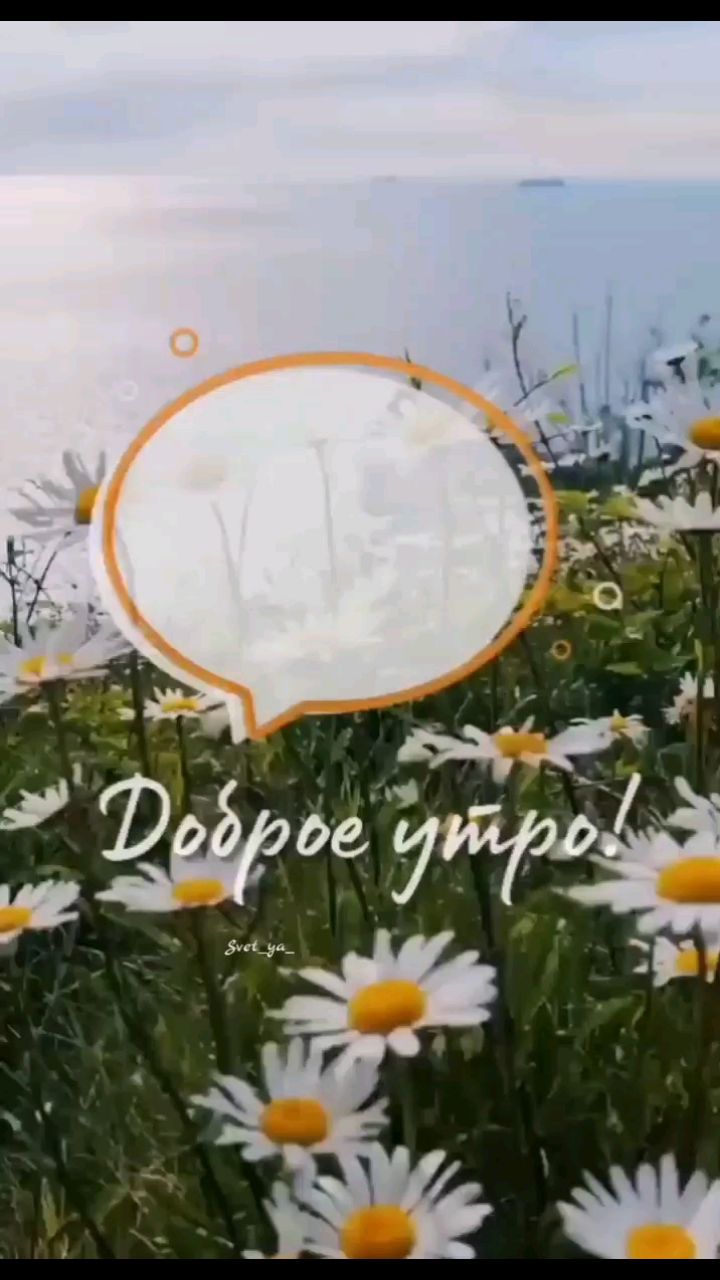 Svet_ya_ в LOOKY — ☀️Доброе утро!🌼

Пусть этот летний день подарит тебе тепло 